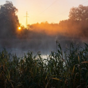 Утренний этюд